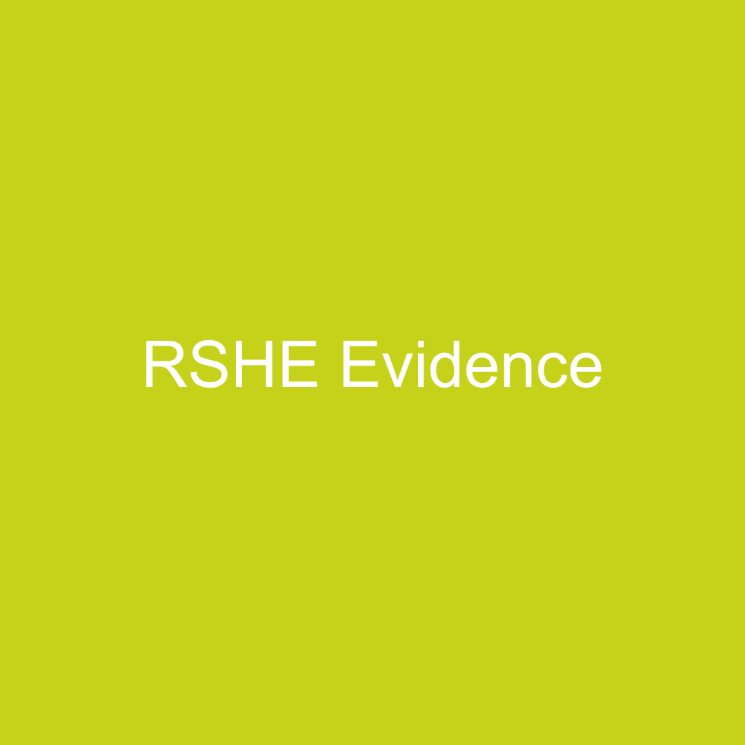 RSHE Evidence button